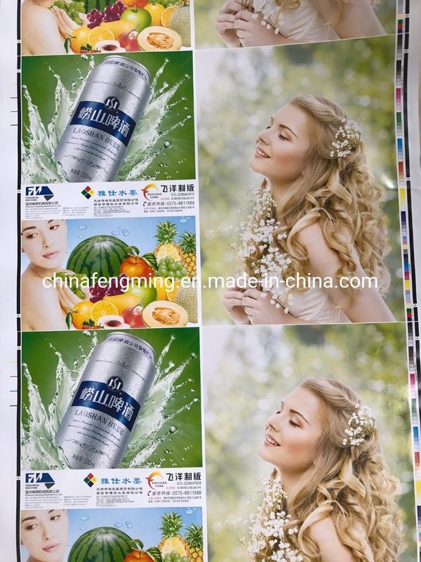 ความเร็วการพิมพ์ 200m/min เครื่องพิมพ์ Flexo สําหรับ 8 สี