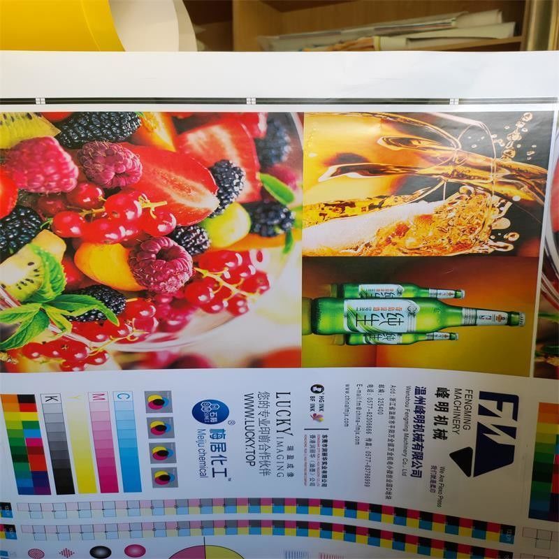เครื่องพิมพ์ Flexo แบบความเร็วสูง 6 สี สําหรับกระดาษม้วน