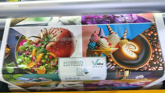 เครื่องพิมพ์เฟล็กโซแบบอินไลน์รุ่น Full Servo สำหรับพิมพ์ม้วนต่อม้วนคุณภาพสูงอัตโนมัติชนิดกลีบดอก